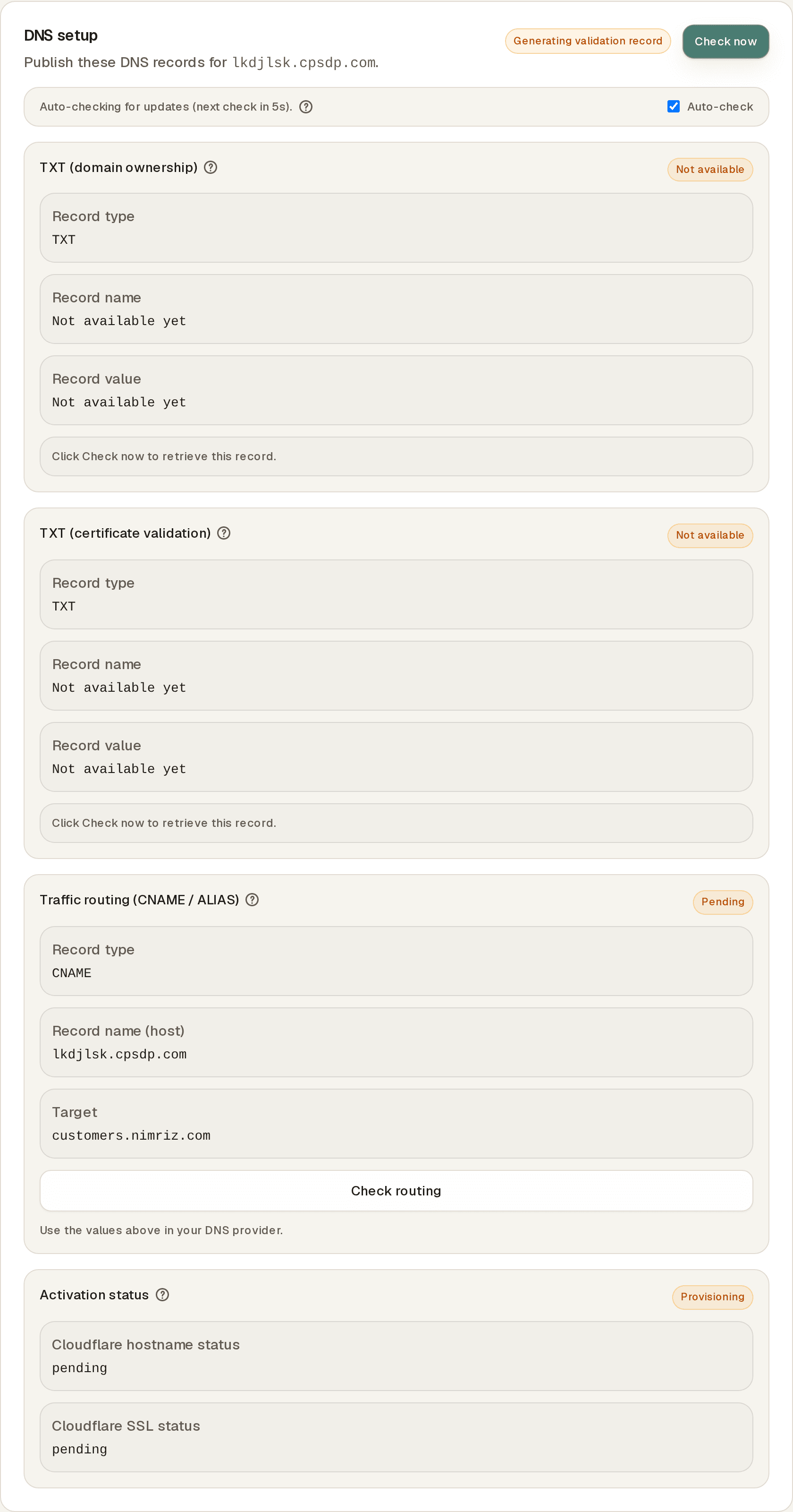 The DNS setup panel for a newly added domain, showing the domain ownership step, the SSL certificate step, the traffic-routing CNAME record with its target, and the Cloudflare activation status